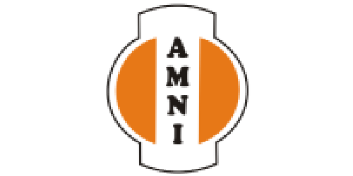 Amni International Petroleum Development Company Limited