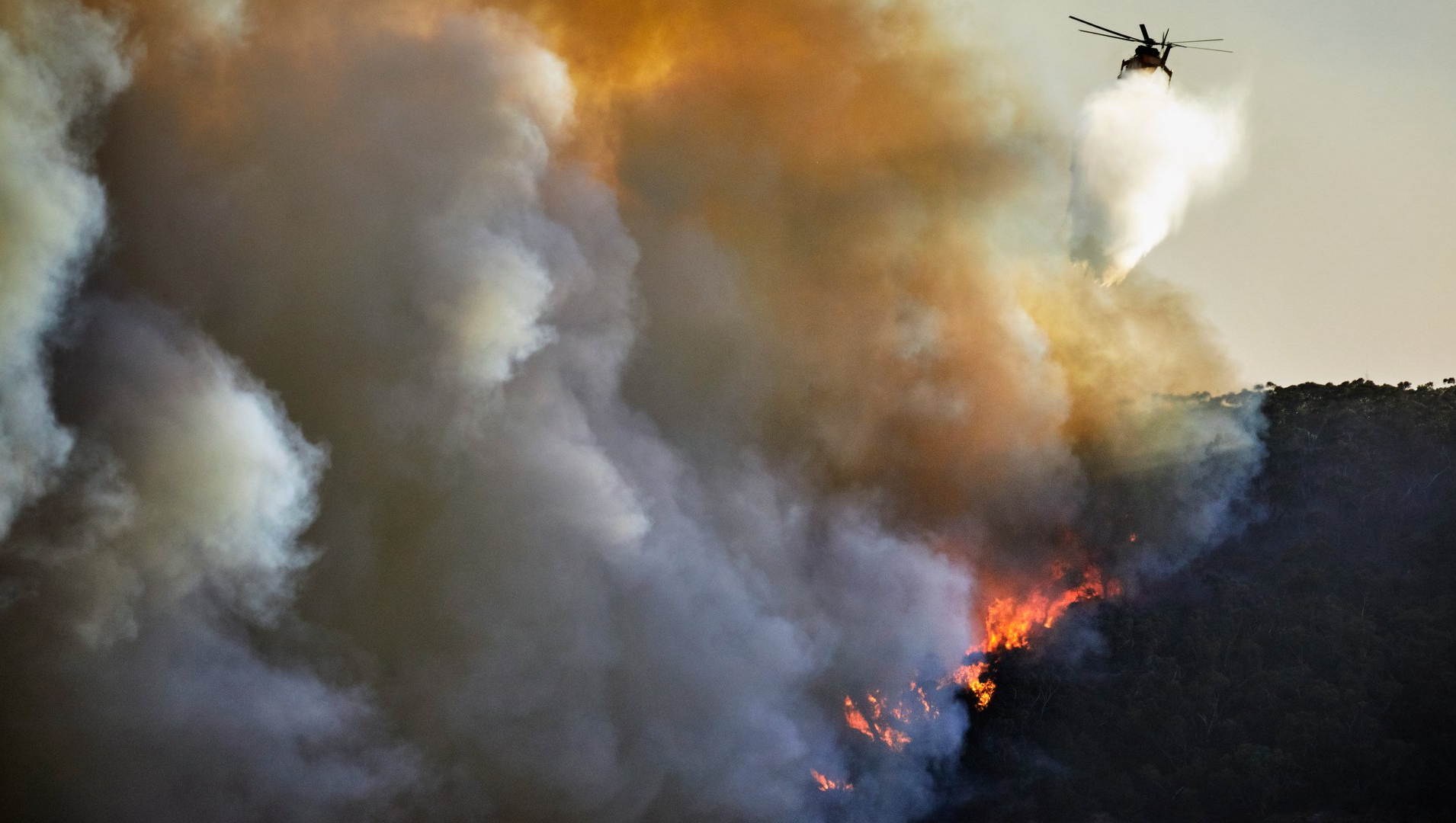 What if the next California-scale wildfire happens in the Midwest?