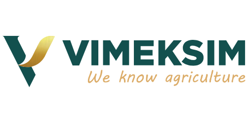 Vimeksim