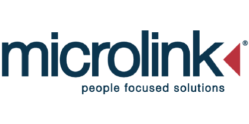Microlink Accessibility Solutions